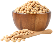 Choline