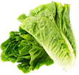 Folate
